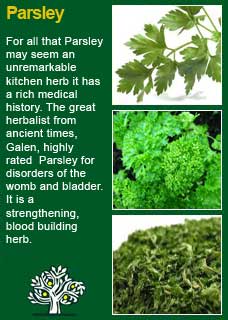 Richard Whelan ~ Medical Herbalist ~ Parsley